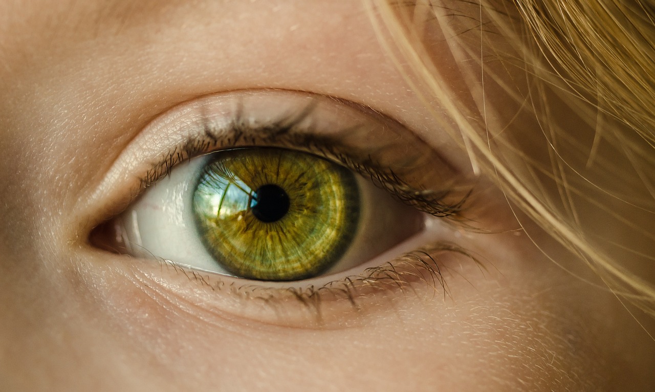 Rigidez en el Autismo: Comprendiendo la Inflexibilidad Cognitiva y Conductual