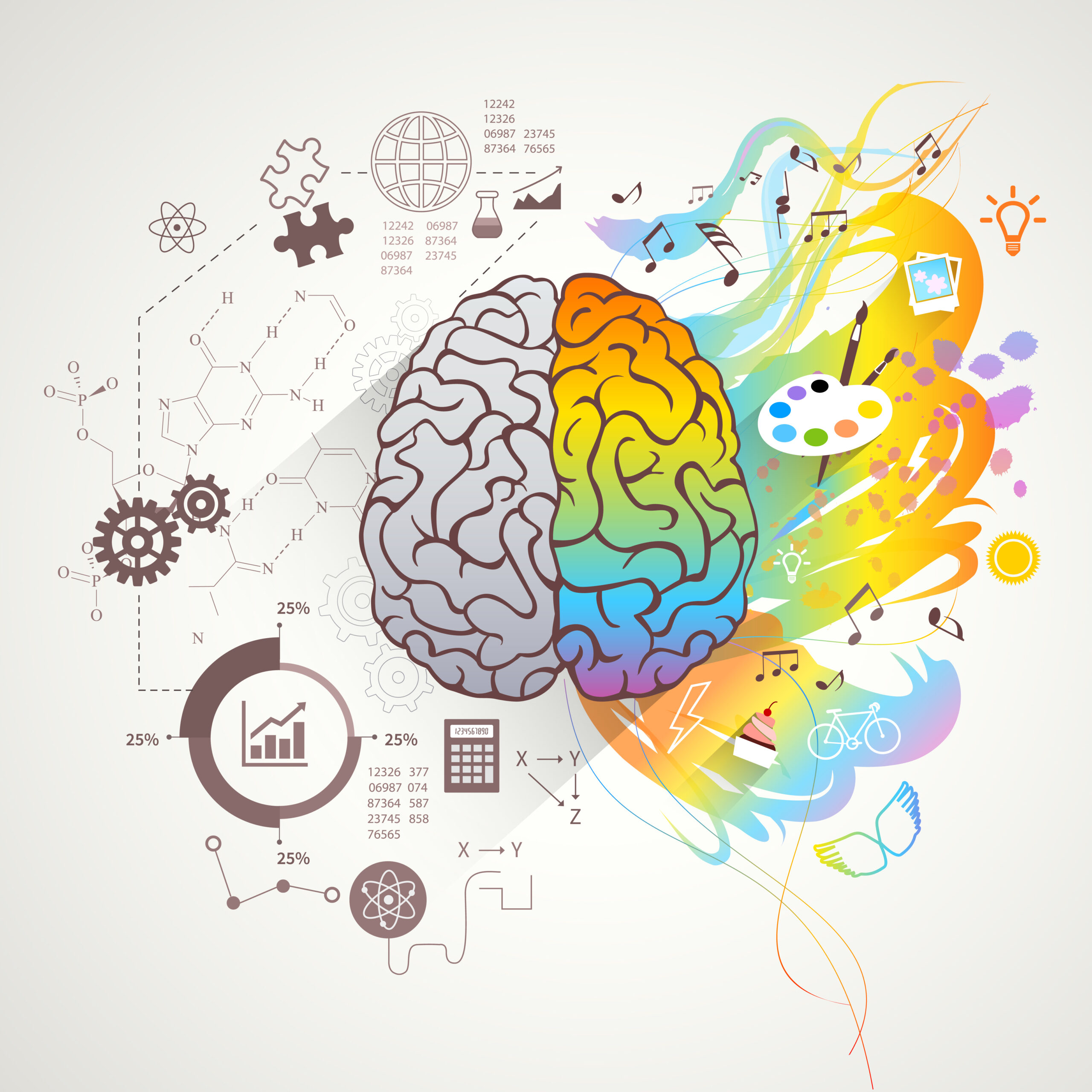 cerebro y emoción