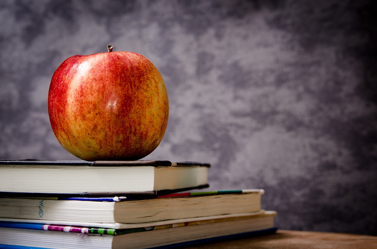 Psicopedagoga aplicando una evaluación psicopedagógica multimodal mediante pruebas estandarizadas y observación